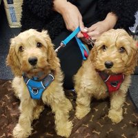 Jeremy (@jeremydiskin) 's Twitter Profile