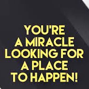 bany84's profile picture. 