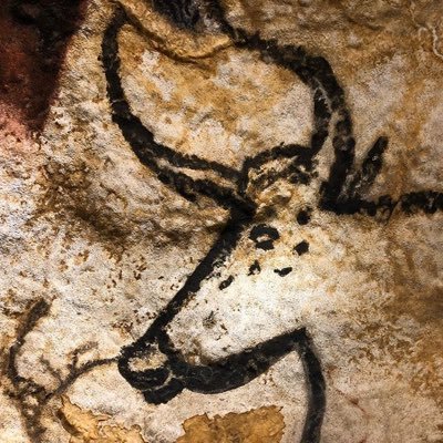 Laurochs24's profile picture. Chasseur, cueilleur d'actifs en tout genre.