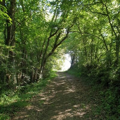 HlneMiquel's profile picture. Tout ce qui est excessif est insignifiant,Talleyrand. 
Laïque/Universaliste