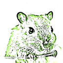 Wilhelm Jansen - @GerbilsCrossing - Twitter