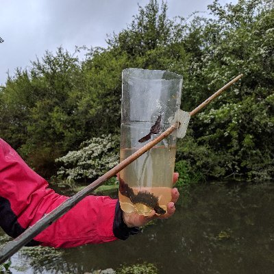 Providing ecologists to the UK construction industry; from a single expert to a 100 strong field team. Register on our website to join our growing network.