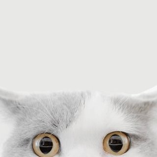 @espritdecorp.bsky.social
I will not give into the lie.