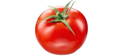 GerdTomate Profile Picture