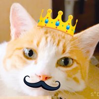 まる (@halzf8kh3nh25js) 's Twitter Profile