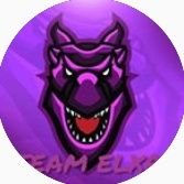 TeamElxr_'s profile picture. 