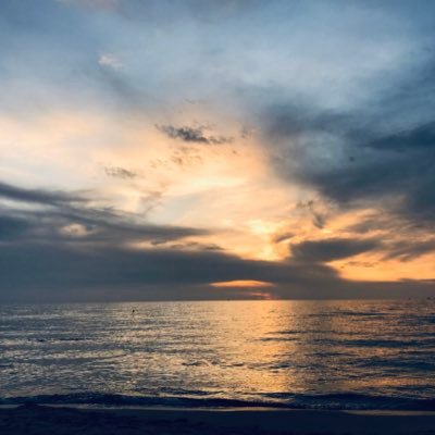 Patty82960317's profile picture. 