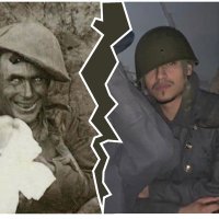 NG, NO GOOD (@_zombiecar) 's Twitter Profile