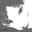 Danielle Gilmore - @danielle61265 - Twitter