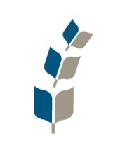 Resourcing the under-resourced Church through the provision of God’s Word.