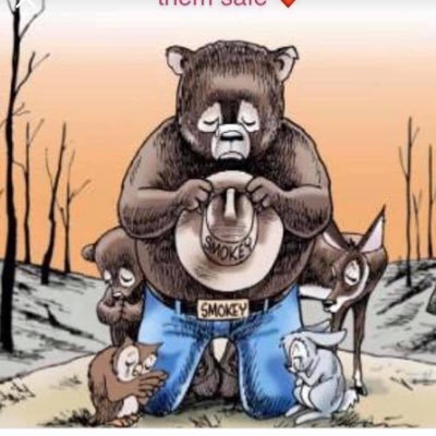 lisamariebetts1's profile picture. I love Sonoma California and I love LA California