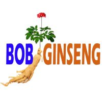 Bob Ginseng (@bobginseng) 's Twitter Profile