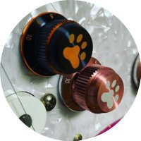 ひれかつ (@kenny_hide) 's Twitter Profile