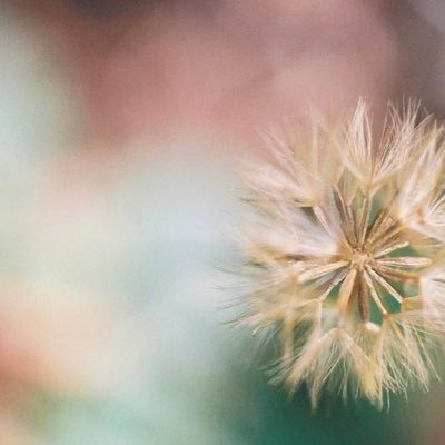 jl_pxui's profile picture. 