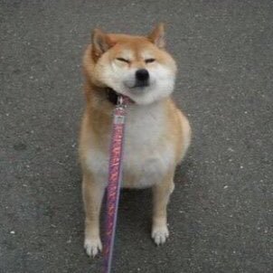 ymon_4's profile picture. B-monster5年目、引越しのためburnesstyleへ→ジム→現在FEELCYCLE&b🎫課金組