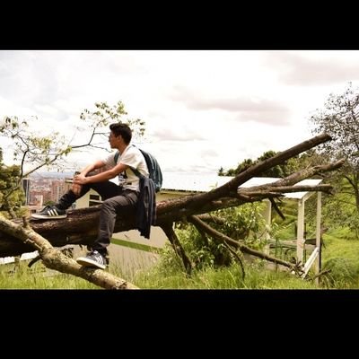 brianstev99's profile picture. ¡dale embajador!🇨🇴🇫🇮
#forzamilan