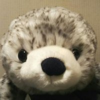 小山内 純 (@childishpure) 's Twitter Profile Photo 小山内 純 (@childishpure) 's Twitter Profile Photo