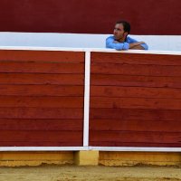 Luis (@luismariagb) 's Twitter Profile Photo