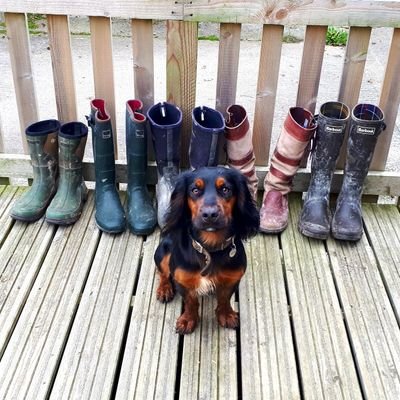 LEAF Education Specialist supporting agricultural education for all.  Previously a business studies teacher, but happier in my wellies. All views my own x