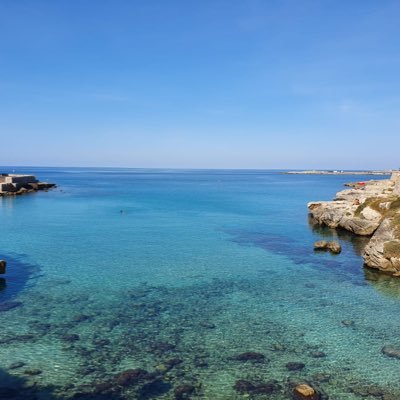 libera11468048's profile picture. La libertad de la dictadura en Venezuela 🇻🇪