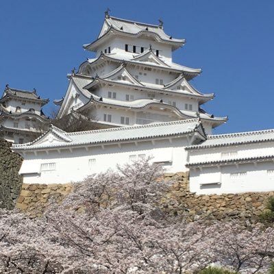 神戸学院大学 法学部 阪神ファン🐯