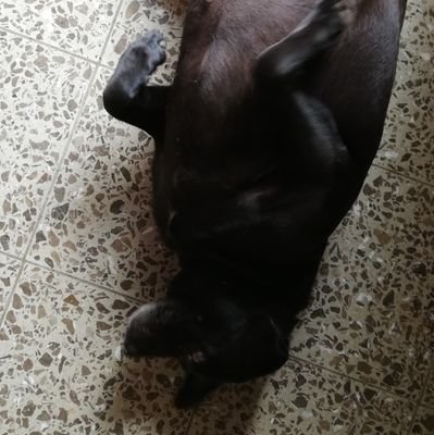 JasonAntxia's profile picture. 🥑👀