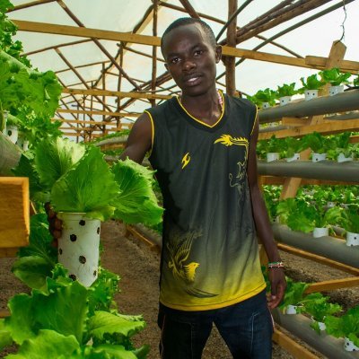 MichaelMwangiN7's profile picture. Hydroponics consultant