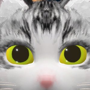 kaineko Profile Picture