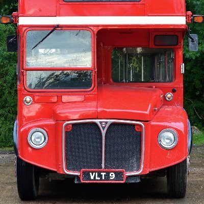 rootymasters's profile picture. 