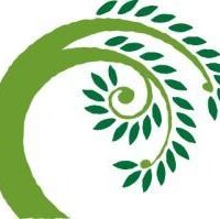 Willowell Foundation (@willowellorg) 's Twitter Profile