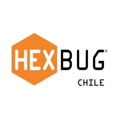 jugueteria en el apumanque