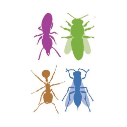 Official Twitter of the North American Section of IUSSI, a worldwide scientific society devoted to promoting the study of social arthropods.