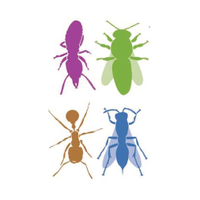 Int Union for the Study of Social Insects - NAS(@IUSSI_NAS) 's Twitter Profile Photo