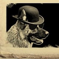 Good Citizen (@goodcitizenband) 's Twitter Profile Photo Good Citizen (@goodcitizenband) 's Twitter Profile Photo