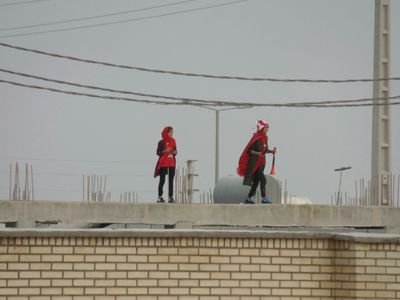 parvazeparandeh's profile picture. 