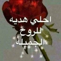 Hassan (@7fow4ud1j0gd7tr) 's Twitter Profile