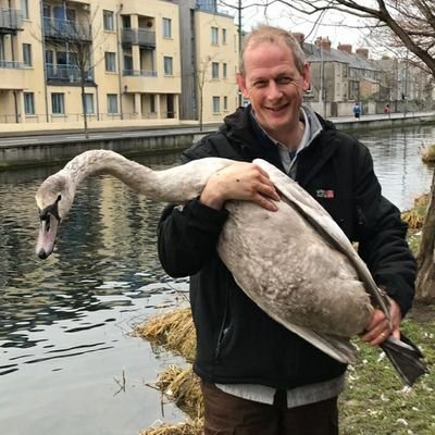 Swan man. Loves Dublin, the history and culture which makes it unique. CR Birder and Ringer. (Everything my own opinion).