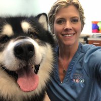 nicole the vet(@nicolethevet1) 's Twitter Profile Photo