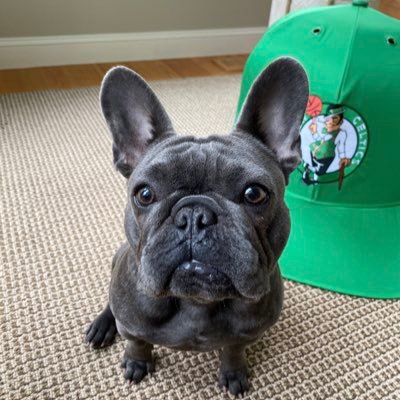 French Bulldog. My friends call me Barkus Smart.