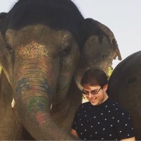 Nick Taylor (@enbeetee) 's Twitter Profile