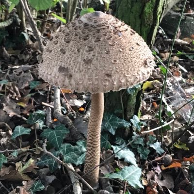 AnnieBHipster's profile picture. 