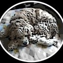 Judy hooks - @judyhks - Twitter