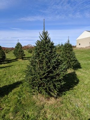 DurningJane's profile picture. Still trying to find myself...