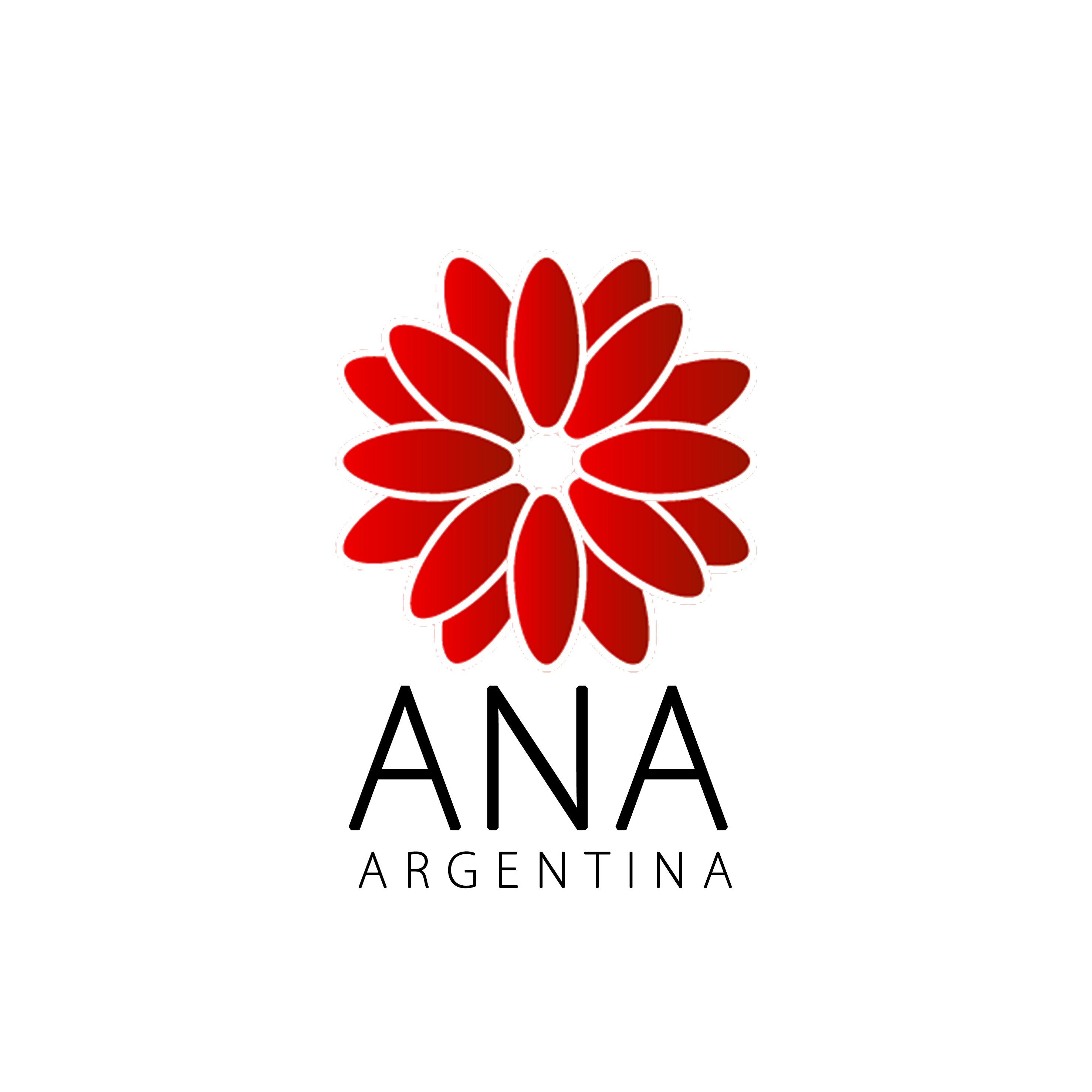 Academia De Negocios Argentina