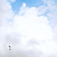 اللهم اغفر لعبدك عبدالكريم (@abdulkremh) Twitter profile photo