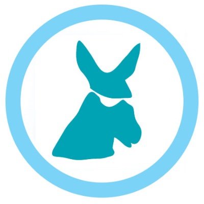 secretdonkey Profile Picture