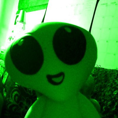 Chachachaboo's profile picture. 🍄‍🟫🧃 #MushroomOfTheDay #fungi #slimemolds