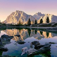 D (@aaaqua56) 's Twitter Profile