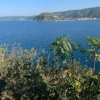 Gozde (@gozdecsgn) 's Twitter Profile