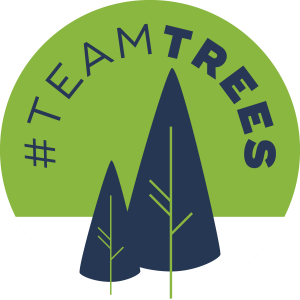 #TeamTrees help us donating at: https://t.co/A8od771te0 1$ is a one tree